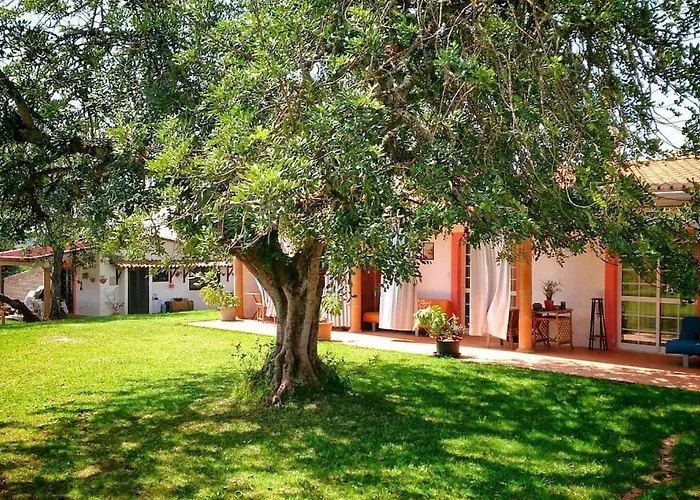 Casa de hóspedes Quinta Infantes De Santa Maria Alcantarilha
