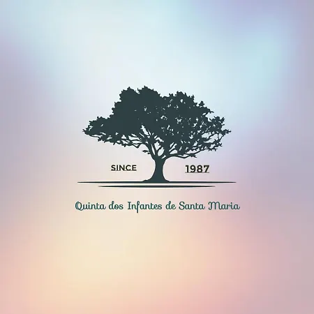 Guest house Quinta Infantes De Santa Maria *