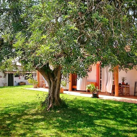 Guest house Quinta Infantes De Santa Maria Alcantarilha